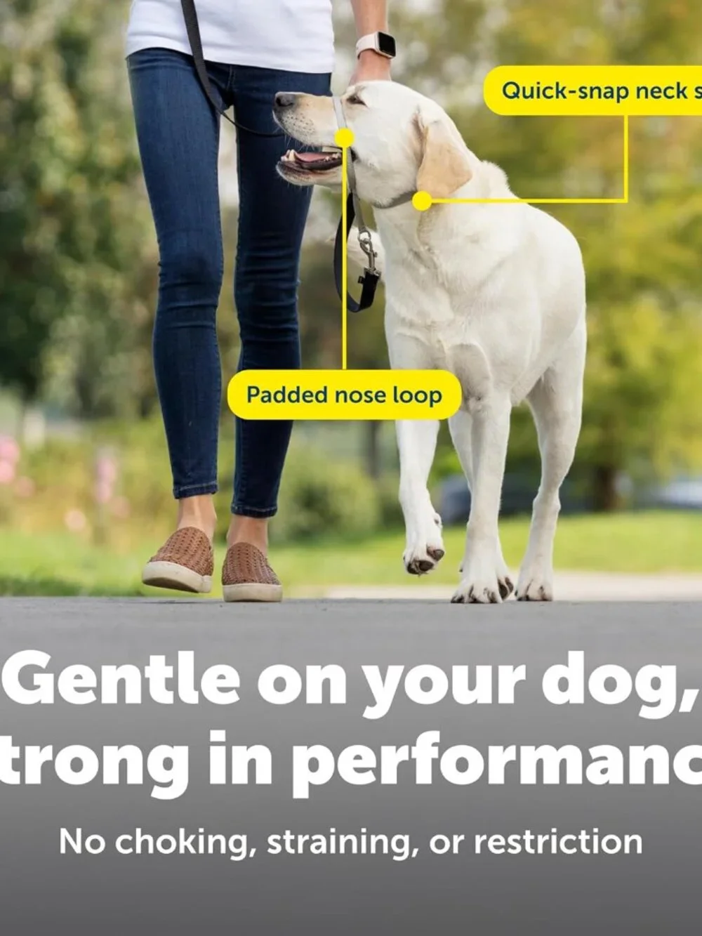PetSafe Gentle Leader No-Pull Dog Headcollar Large Black